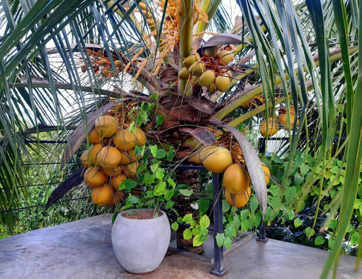 Weligama Bay Watsila Resort Bagian luar foto
